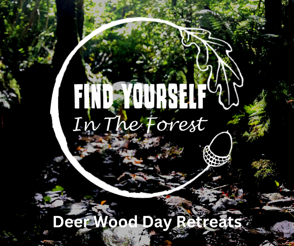 Deer Wood Day Retreats
for Body, Mind & Spirit
Forest Qi Gong, the Therapy of Nature, Journeywork.
