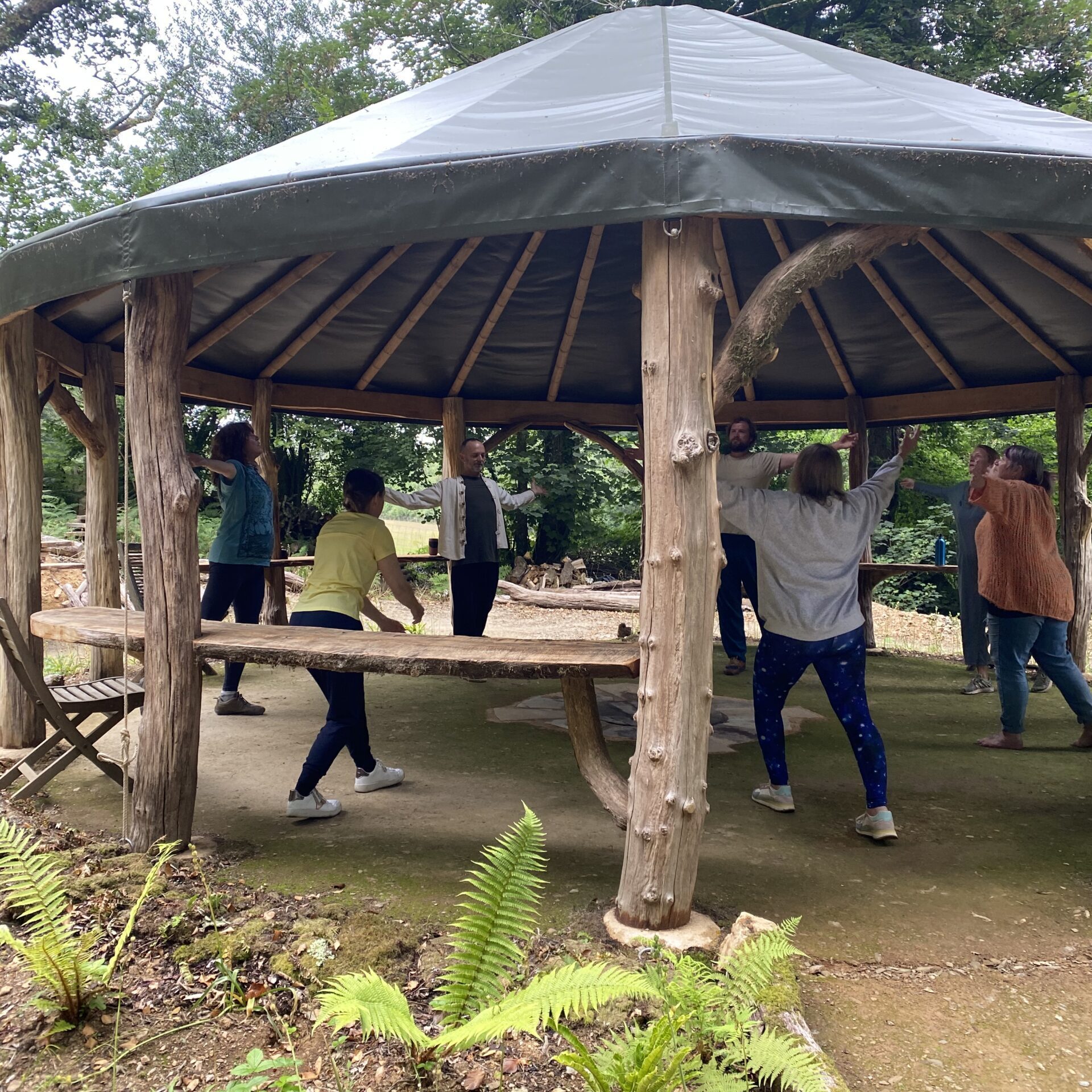 Forest Qigong July 8th 23