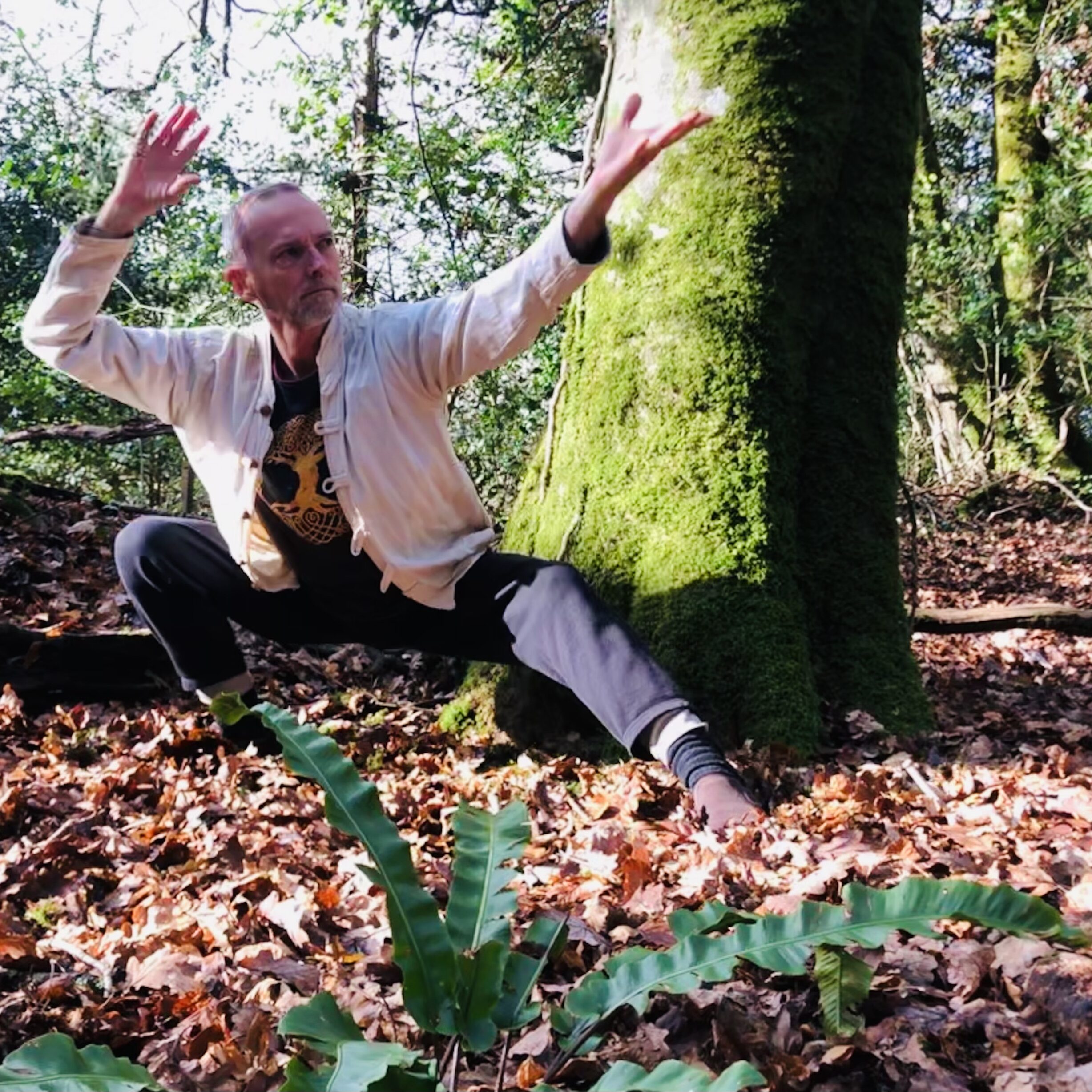 Marc Biddle Forest Qi Gong in house Tutor at Deer Wood