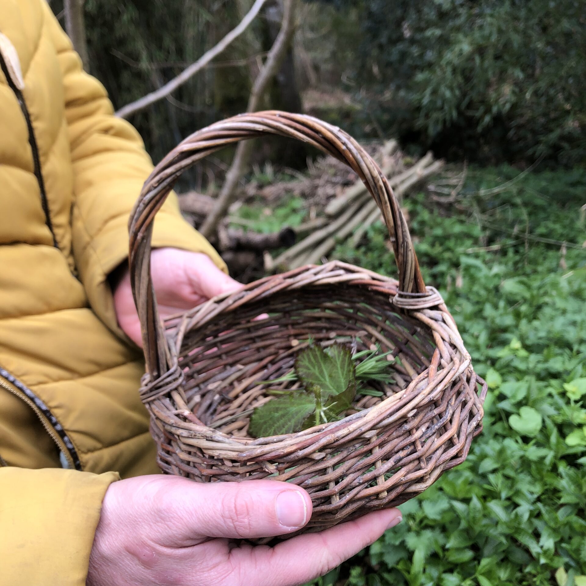 nettles in a woven basket