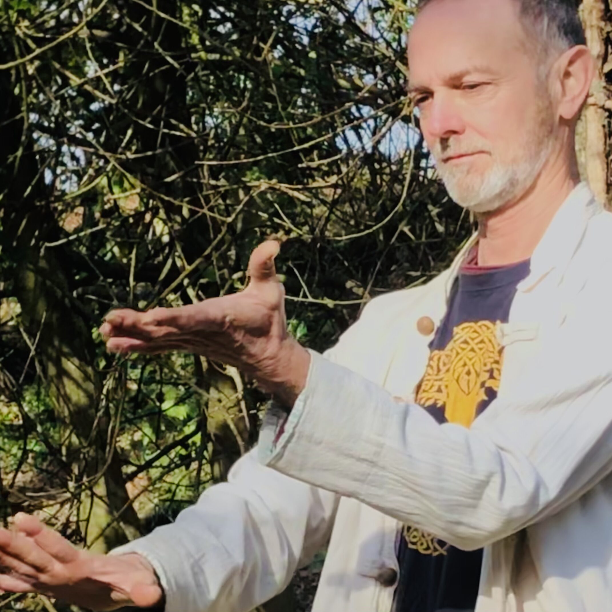Marc Biddle - Forest Qi Gong